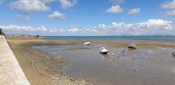 VUE-PONT-ILE-DE-RE-depuis-Fort-la-Pré