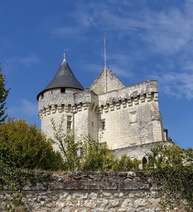 Château de la Motte d'Usseau