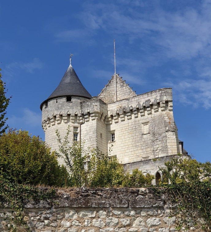 Château de la Motte d'Usseau